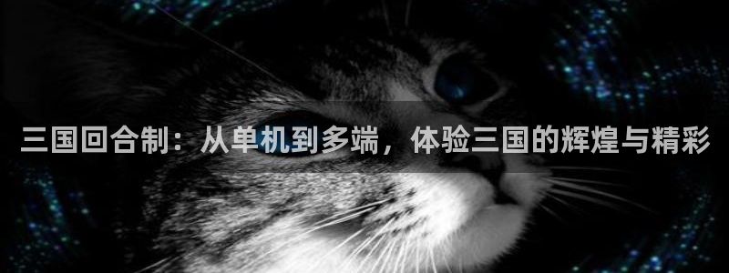 三国回合制：从单机到多端，体验三国的辉煌与精彩