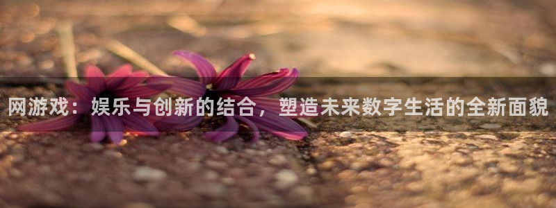m6米乐官网登录：网游戏：娱乐与创新的结合，塑造未来数字生活